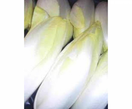 Endives