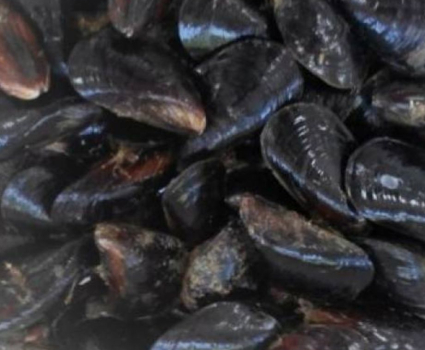 Moules